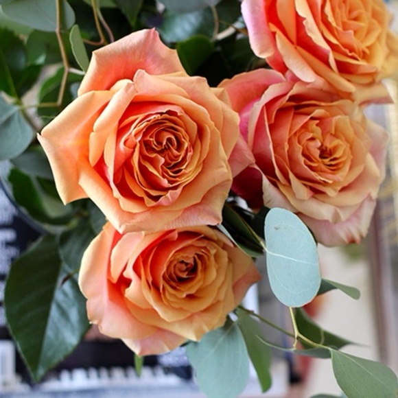 Meet your Posher, V - Picture 1 of 1